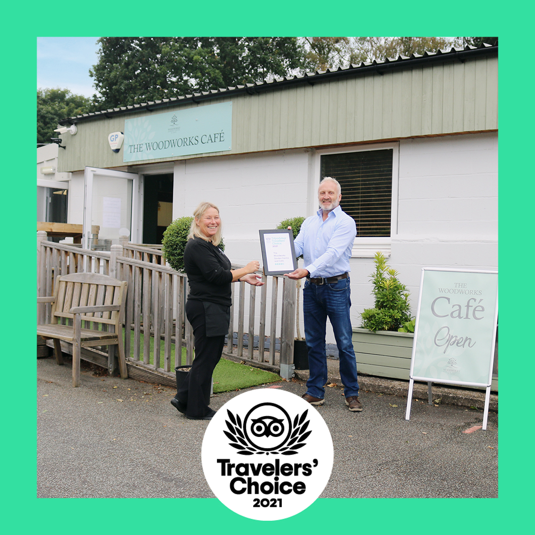 Woodworks Trip Advisor Award