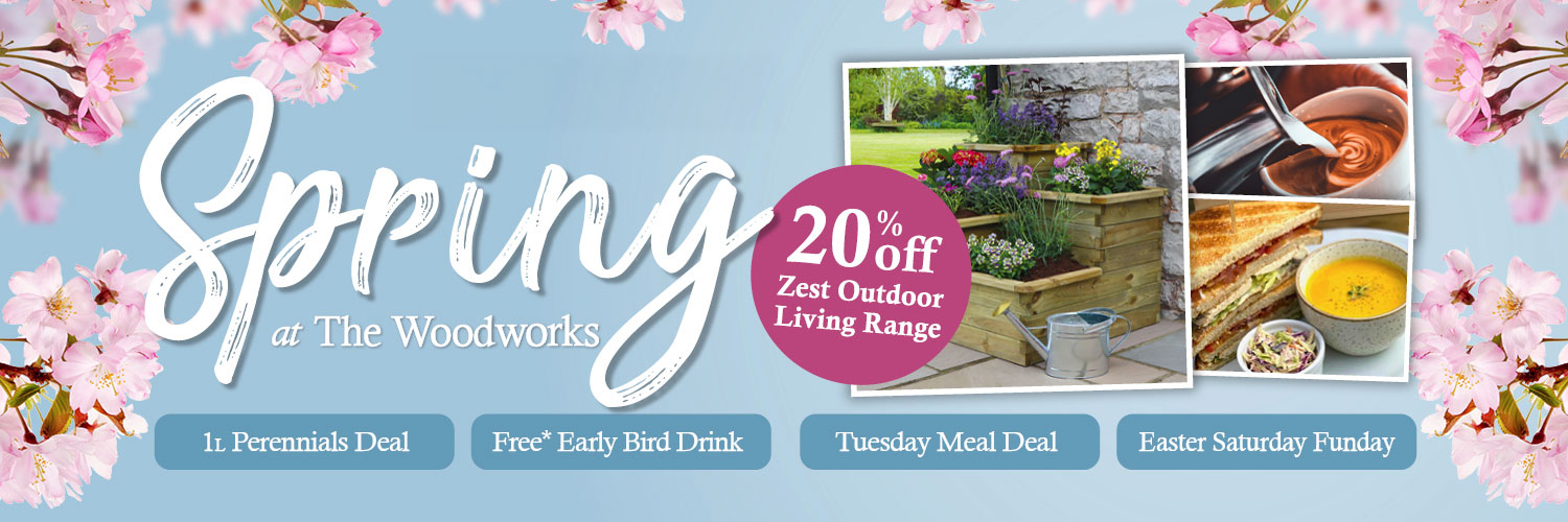 spring_offers_banner