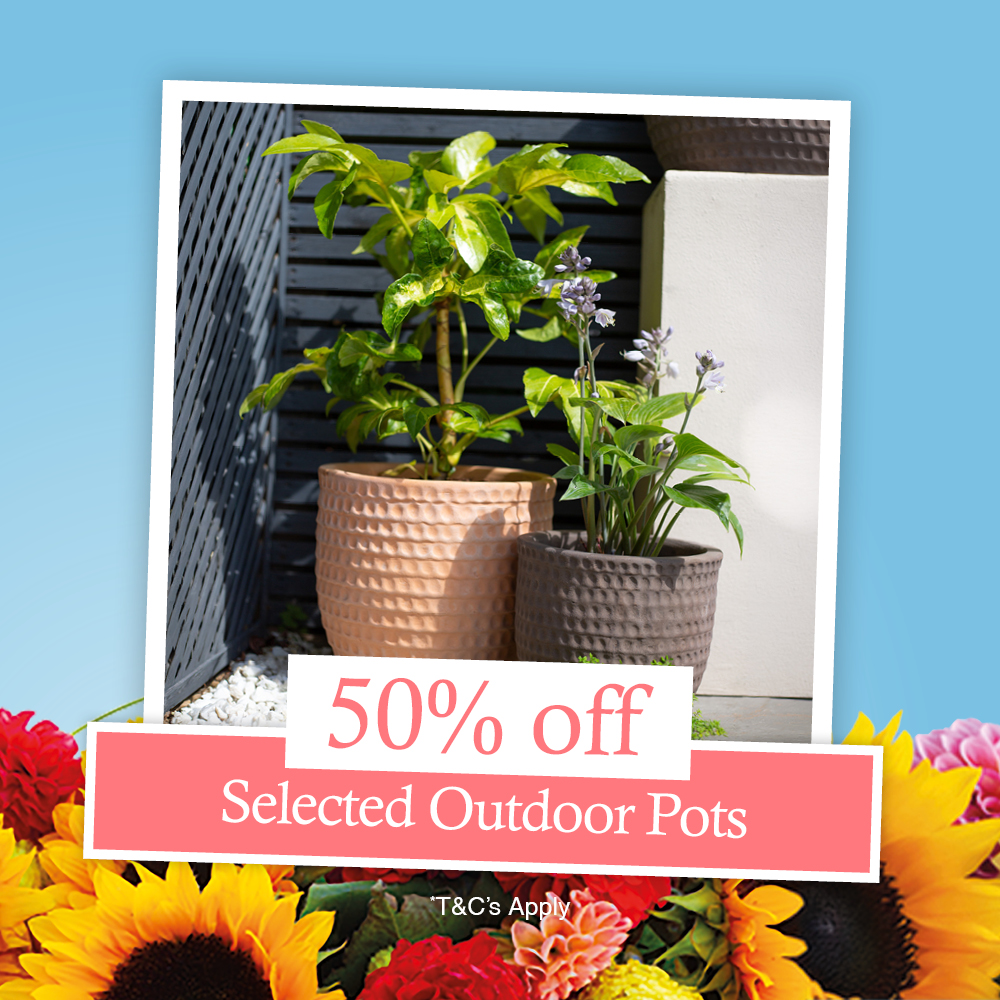 Woodworks May Campaign Web Asset – Pots SQ
