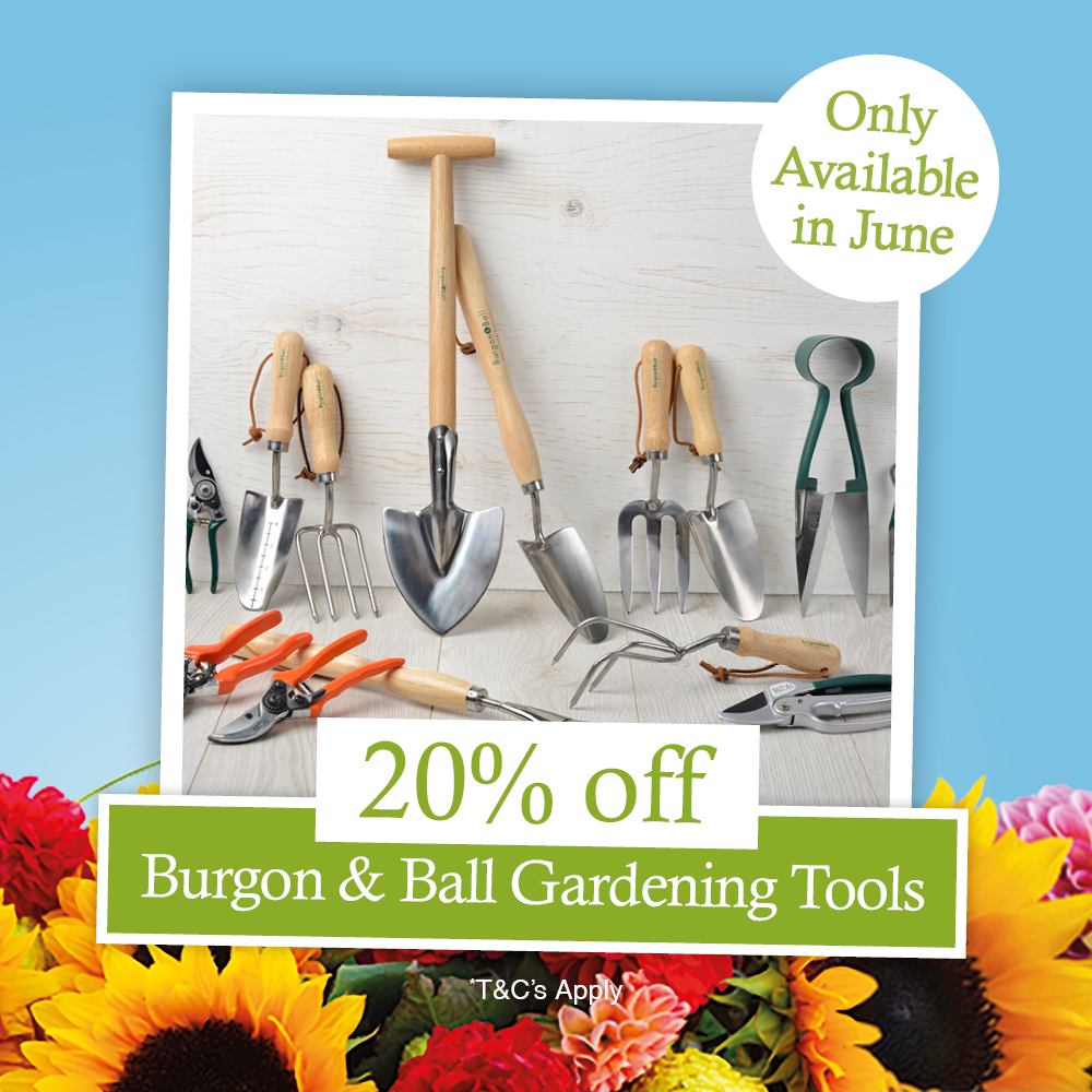Woodworks May Campaign Web Asset – Tools SQ