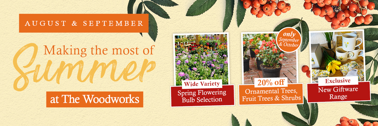 Woodworks May Campaign Web Banner