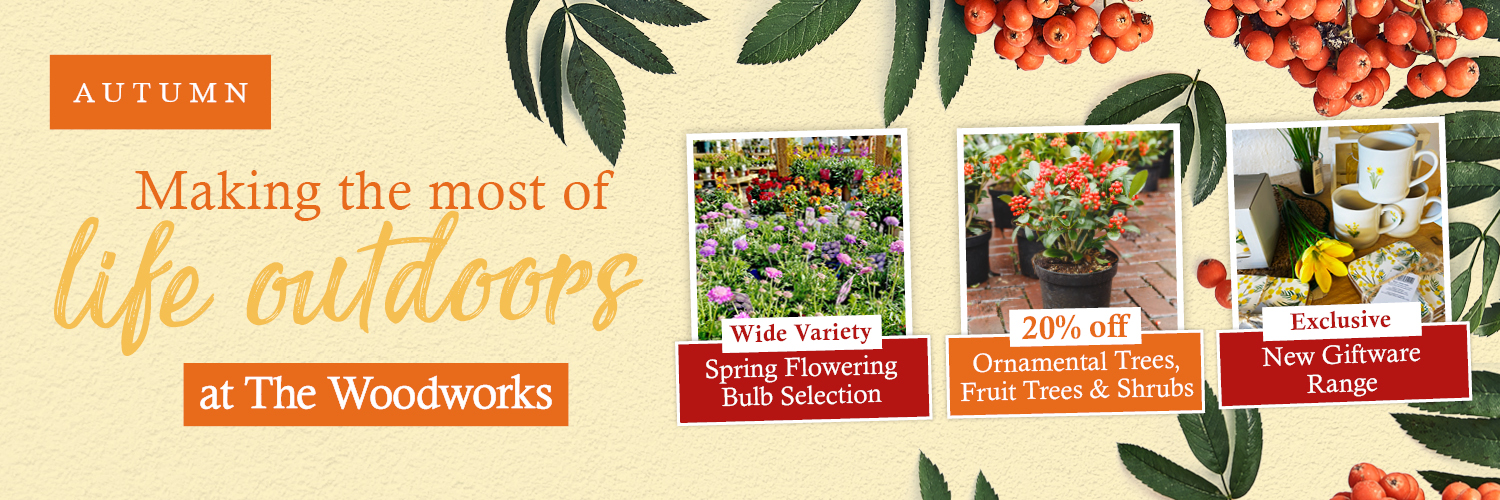 Autumn offers at the Woodworks