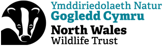 north-wales-wildlife-trust-logo-200px-wide