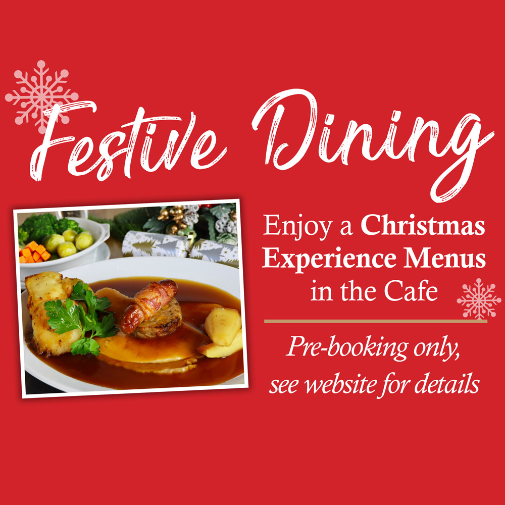 christmas-festive-menu